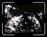 equinox76 (60) * 1632 x 1224 * (1.29MB)